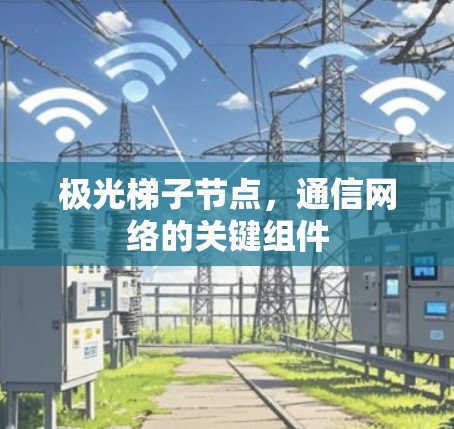 极光梯子节点,通信网络的关键组件 极光梯子节点,通信网络的关键组件