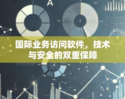 国际业务访问软件,技术与安全的双重保障 国际业务访问软件,技术与安全的双重保障