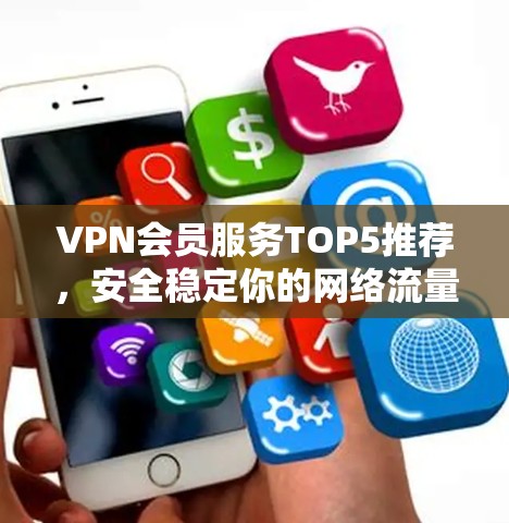VPN会员服务TOP5推荐，安全稳定你的网络流量