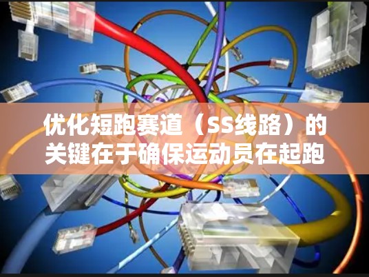 优化短跑赛道(SS线路)的关键在于确保运动员在起跑和冲刺阶段能够达到最佳状态。以下是一些详细的优化技巧和建议 优化短跑赛道(SS线路)的关键在于确保运动员在起跑和冲刺阶段能够达到最佳状态。以下是一些详细的优化技巧和建议
