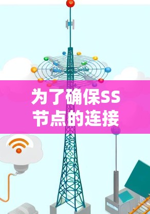为了确保SS节点的连接正常，按照以下步骤进行测试