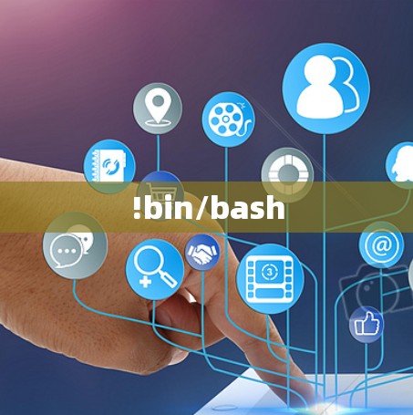 !bin/bash