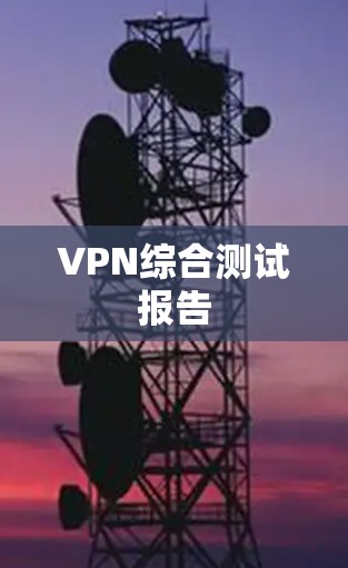 VPN综合测试报告