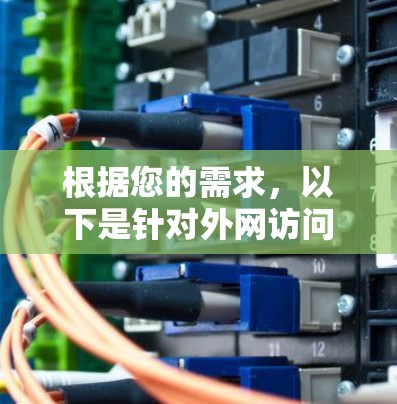 根据您的需求，以下是针对外网访问工具的推荐