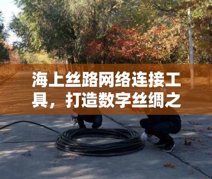 海上丝路网络连接工具,打造数字丝绸之路 海上丝路网络连接工具,打造数字丝绸之路