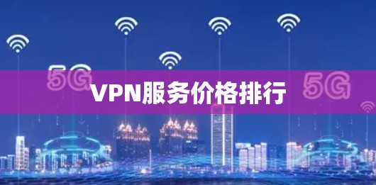 VPN服务价格排行