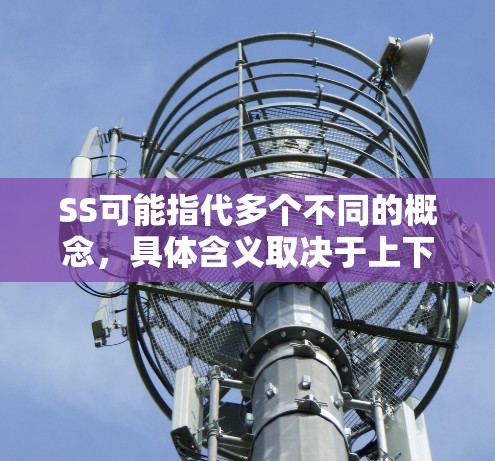 SS可能指代多个不同的概念,具体含义取决于上下文。以下是一些可能的解释和使用教程 SS可能指代多个不同的概念,具体含义取决于上下文。以下是一些可能的解释和使用教程