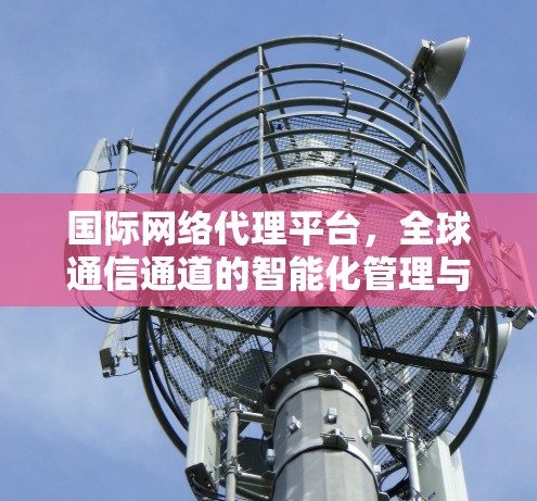 国际网络代理平台，全球通信通道的智能化管理与应用