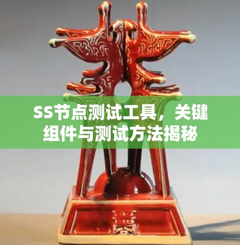 SS节点测试工具，关键组件与测试方法揭秘