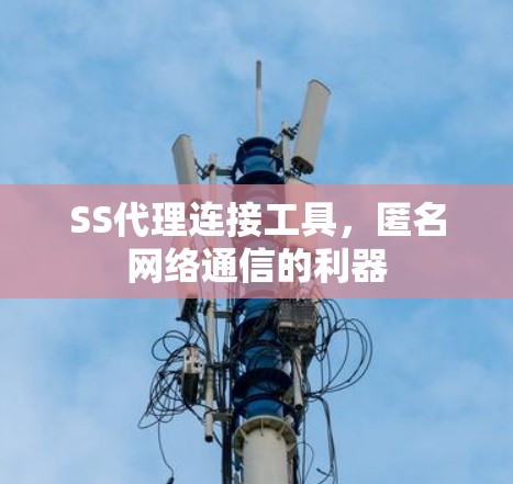 SS代理连接工具,匿名网络通信的利器 SS代理连接工具,匿名网络通信的利器