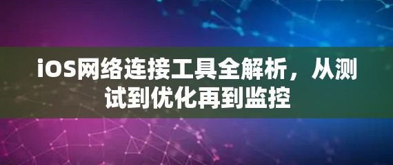 iOS网络连接工具全解析,从测试到优化再到监控 iOS网络连接工具全解析,从测试到优化再到监控
