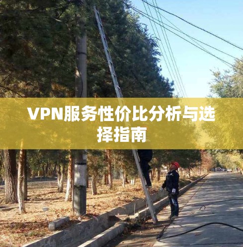 VPN服务性价比分析与选择指南
