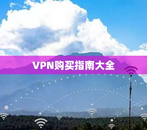 VPN购买指南大全 VPN购买指南大全