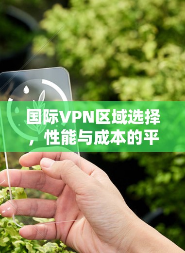 国际VPN区域选择，性能与成本的平衡之道