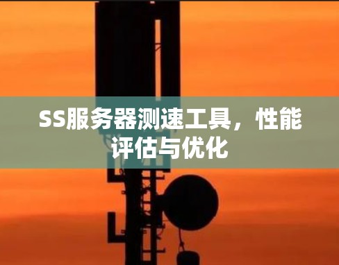 SS服务器测速工具,性能评估与优化 SS服务器测速工具,性能评估与优化