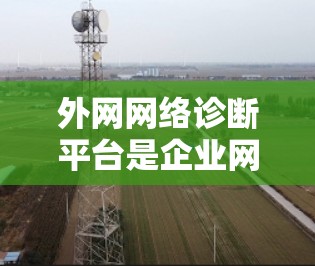 外网网络诊断平台是企业网络管理中的重要工具，帮助监控和优化网络性能。以下是对外网网络诊断平台的详细分析