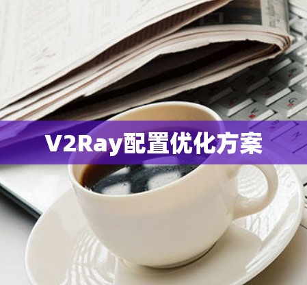 V2Ray配置优化方案 V2Ray配置优化方案