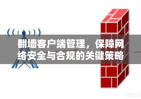 翻墙客户端管理,保障网络安全与合规的关键策略 翻墙客户端管理,保障网络安全与合规的关键策略