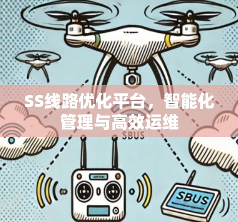 SS线路优化平台,智能化管理与高效运维 SS线路优化平台,智能化管理与高效运维
