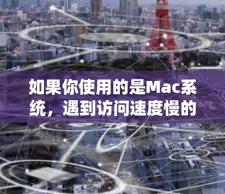 如果你使用的是Mac系统，遇到访问速度慢的问题，可以考虑以下方法来加速访问