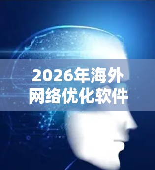 2026年海外网络优化软件解决方案 2026年海外网络优化软件解决方案