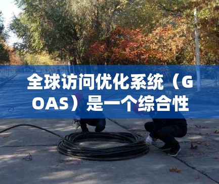 全球访问优化系统(GOAS)是一个综合性的解决方案,旨在通过多种技术手段提升用户对全球资源的访问效率和体验。以下是对GOAS的详细分析和总结 全球访问优化系统(GOAS)是一个综合性的解决方案,旨在通过多种技术手段提升用户对全球资源的访问效率和体验。以下是对GOAS的详细分析和总结
