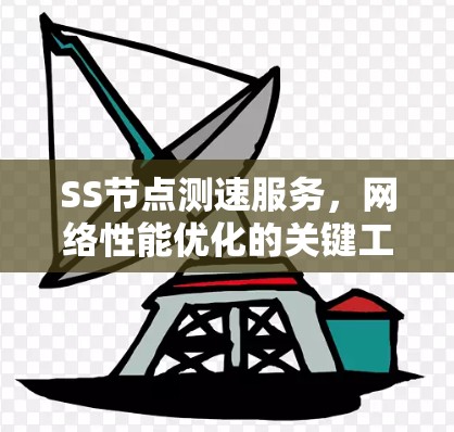 SS节点测速服务,网络性能优化的关键工具 SS节点测速服务,网络性能优化的关键工具